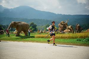 BIB: 
                            <button type="button" onclick="openModal(22434448)" class="btn btn-primary btn-sm float-right btn-popup" data-toggle="modal" data-target=".modal-high-quality">
                        <i class="fas fa-shopping-cart"></i> Add to Cart
                    </button>
                                            <button type="button" onclick="isThisMe(22434448, true)" class="btn btn-success btn-sm float-right btn-popup btn-isme hidden" data-toggle="tooltip" data-placement="bottom" title="นี่คือรูปของคุณใช่ไหม คลิกที่นี่เพื่อเอาเข้าอัลบั้ม">
                        <i class="fas fa-plus"></i> Add to album
                    </button>
                    <button type="button" onclick="isThisMe(22434448, false)" class="btn btn-warning btn-sm float-right btn-popup btn-isnotme hidden">
                        <i class="fas fa-ban"></i> Remove from album
                    </button>